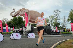 BIB: 
                            <button type="button" onclick="openModal(26528713)" class="btn btn-primary btn-sm float-right btn-popup" data-toggle="modal" data-target=".modal-high-quality">
                        <i class="fas fa-shopping-cart"></i> Add to Cart
                    </button>
                                            <button type="button" onclick="isThisMe(26528713, true)" class="btn btn-success btn-sm float-right btn-popup btn-isme hidden" data-toggle="tooltip" data-placement="bottom" title="นี่คือรูปของคุณใช่ไหม คลิกที่นี่เพื่อเอาเข้าอัลบั้ม">
                        <i class="fas fa-plus"></i> Add to album
                    </button>
                    <button type="button" onclick="isThisMe(26528713, false)" class="btn btn-warning btn-sm float-right btn-popup btn-isnotme hidden">
                        <i class="fas fa-ban"></i> Remove from album
                    </button>